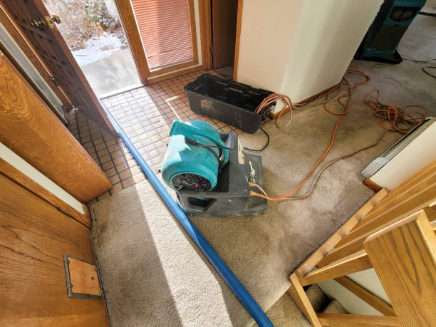 Best Basement water damage restoration  in Hendersonville, TN