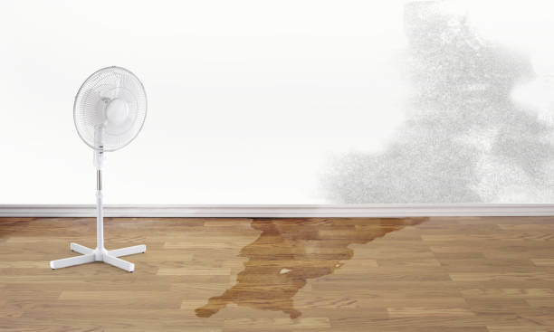 Best Fire Damage Restoration  in Hendersonville, TN