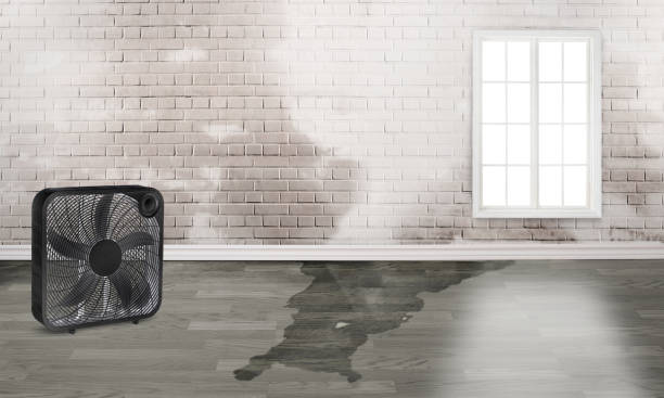 Best Residential water damage restoration  in Hendersonville, TN