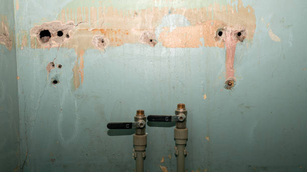 , TN Water damage restoration Company